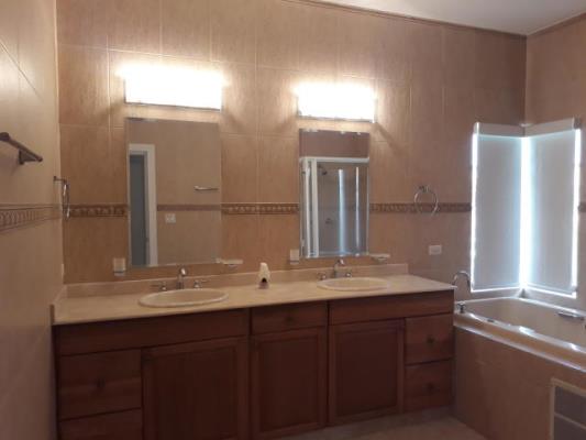 Palmeras del Este , Costa del Este