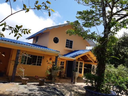 Altos de Cerro Azul, Pacora