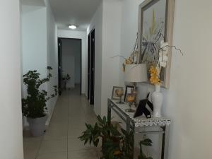 , apartamento