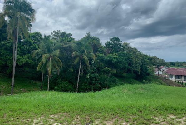 , Terreno en venta en La Ermita | P2290715