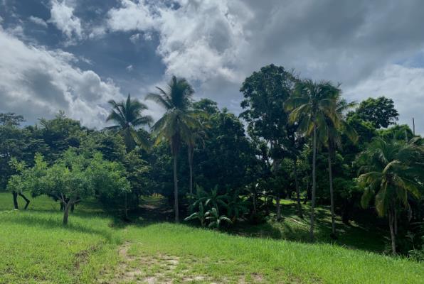 , Terreno en venta en La Ermita | P2290715