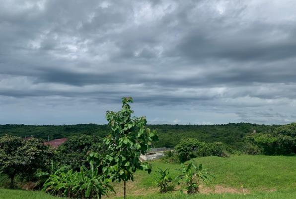 , San Carlos