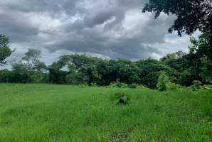 La Ermita San Carlos