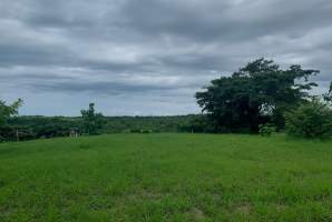 La Ermita San Carlos