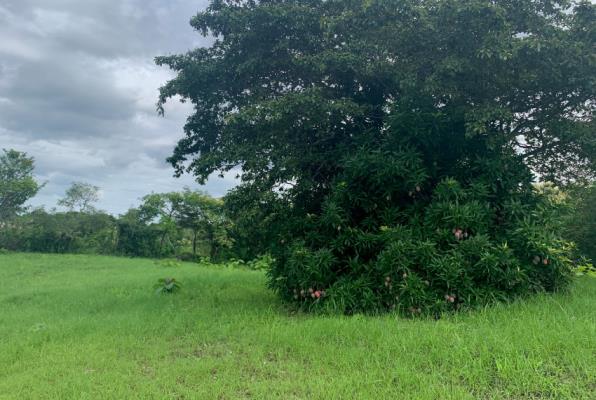 , Terreno en venta en La Ermita | P2290771