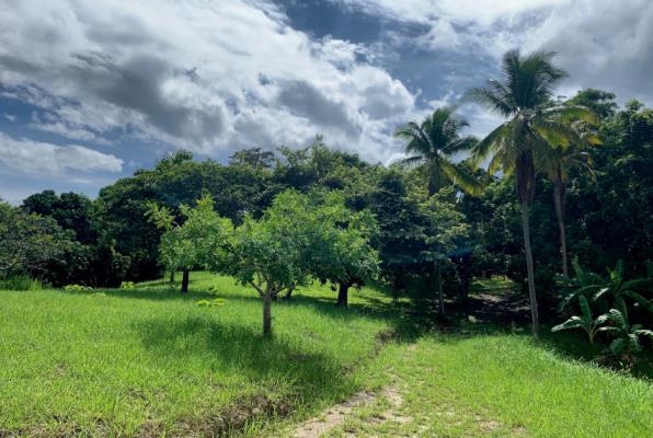 , La Ermita