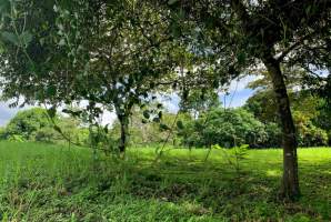 La Ermita San Carlos