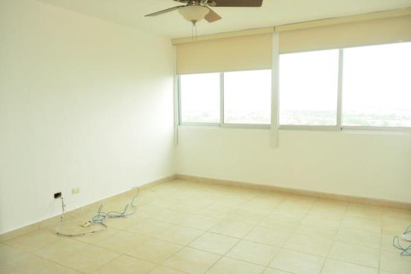 , Área Metropolitana