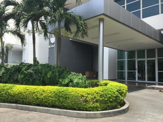 , Apartamento en alquiler en Costa del Este | P2301257