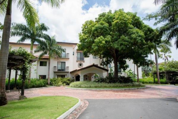 Buenaventura, Antón