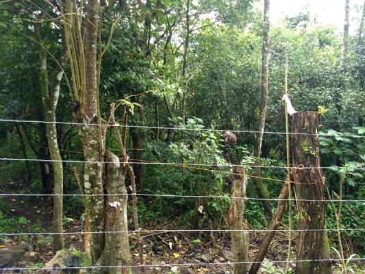 , Terreno en venta en Coclé | P2307200