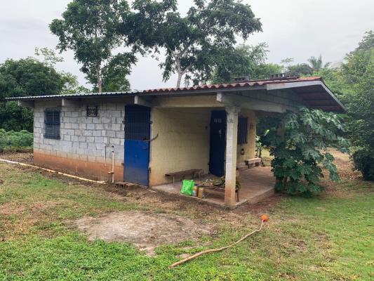 , Terreno en venta en Nuevo Emperador | P2318841