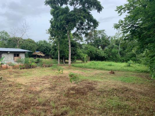 , Terreno en venta en Nuevo Emperador | P2318841