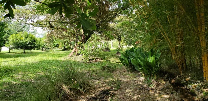 Alto Boquete, Alto Boquete