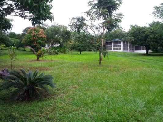 Alto Boquete, Boquete