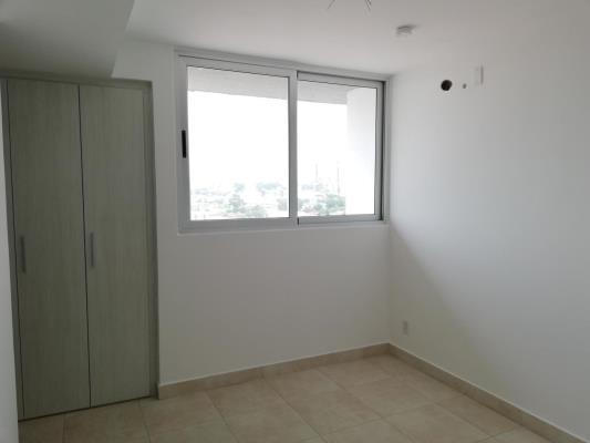 Alegria, Parque Lefevre