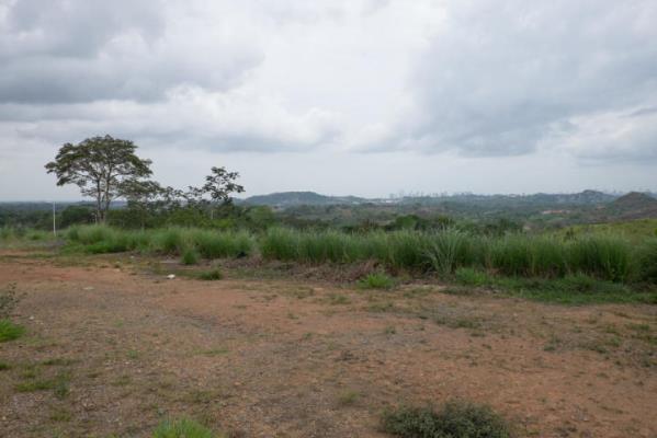 , Terreno en venta en Ernesto Cordoba Campos | P2349123