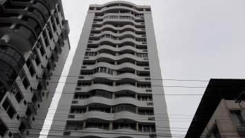 ymal