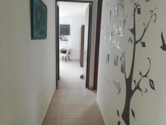 , apartamento