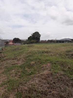 , Terreno en alquiler en Tocumen | P2361555