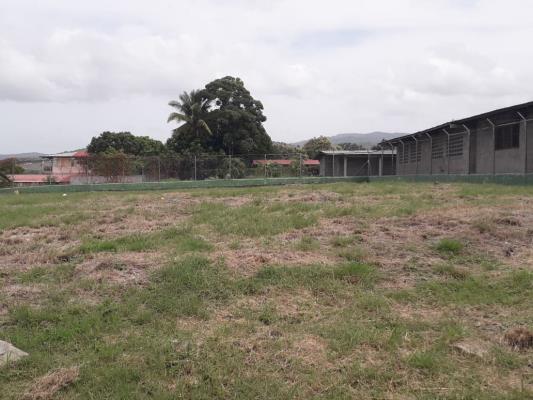 , Terreno en alquiler en Tocumen | P2361555