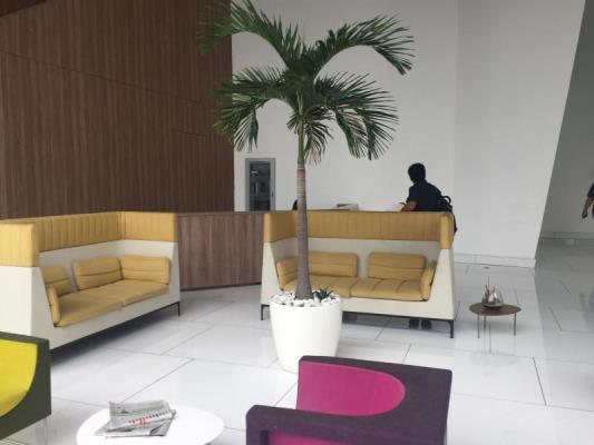 , Terreno en alquiler en Avenida Balboa | P2363585