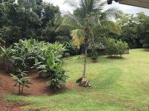 , Terreno en alquiler en Villa Carmen | P2368429