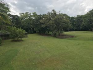, Terreno en alquiler en Villa Carmen | P2368429