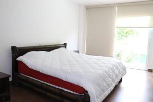 , Casa en alquiler en Juan Diaz | P2380735
