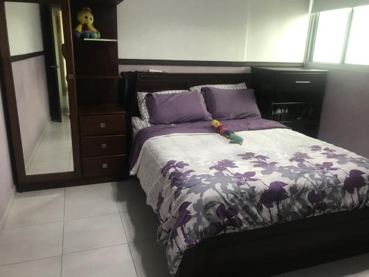 ph Trinity Tower, Apartamento en alquiler en Bella Vista | ph Trinity Tower -  P2382954