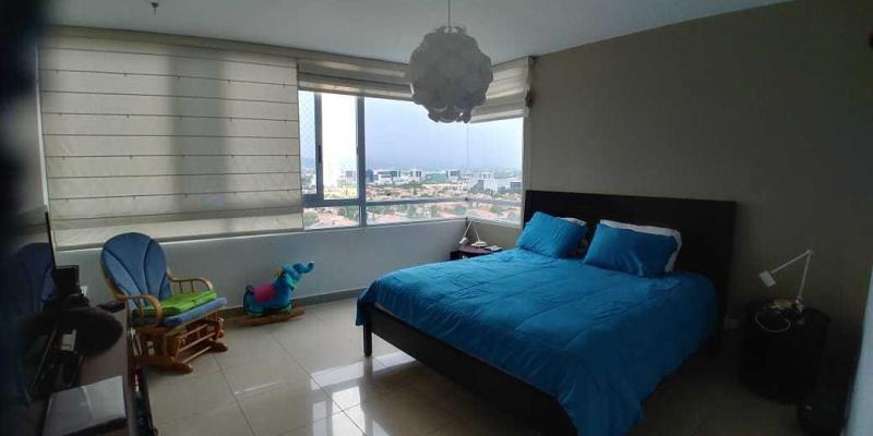 , Área Metropolitana