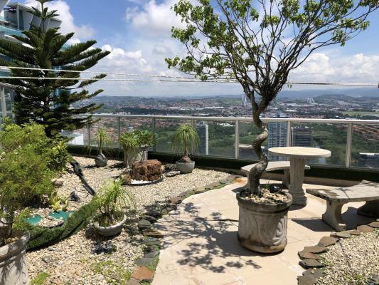 , Área Metropolitana