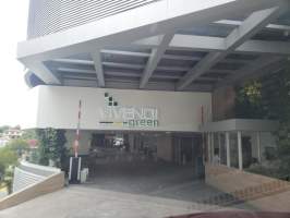 ymal