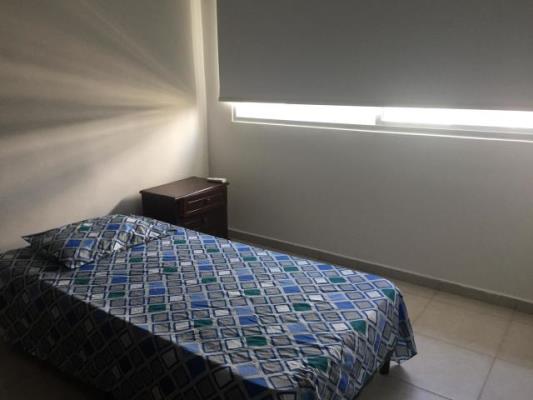 Alsacia Towers, Apartamento en alquiler en Amelia Denis De Icaza | Alsacia Towers -  P2403072