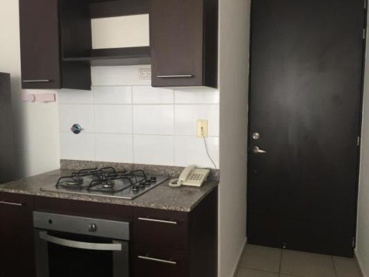 Alsacia Towers, Apartamento en alquiler en Amelia Denis De Icaza | Alsacia Towers -  P2424212