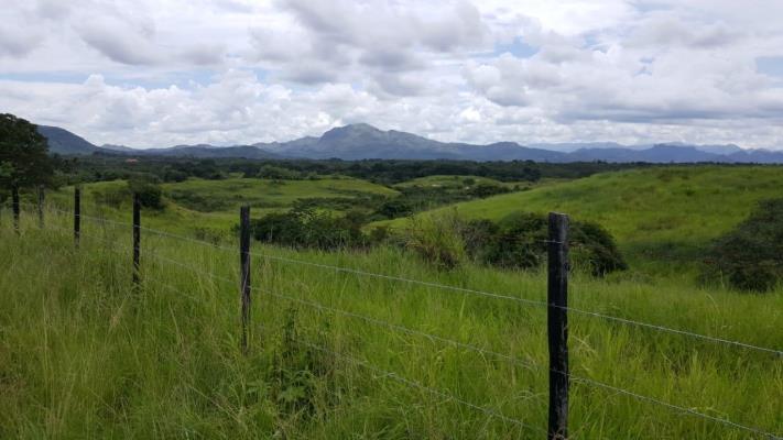 , Terreno en alquiler en Penonome | P2424492