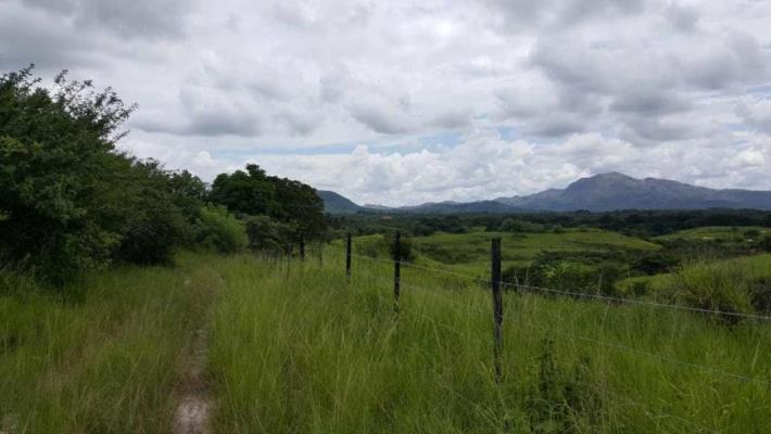 , Terreno en alquiler en Penonome | P2424492