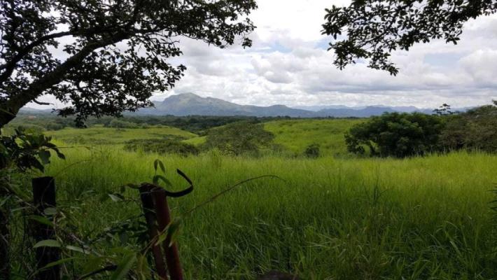 , Terreno en alquiler en Penonome | P2424492