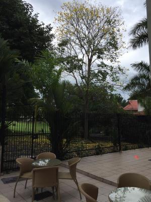 casa albrook, Casa en alquiler en Ancón | casa albrook -  P2434467