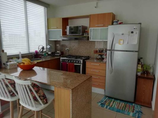 Bahia del Golf, Área Metropolitana