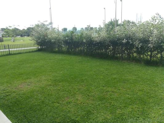 Santa Maria Court, Área Metropolitana