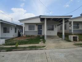 Palo Alto Penonome, Penonomé