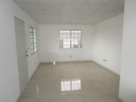 Palo Alto Penonome, Penonomé