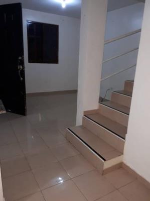 mirador del bosque, Panamá