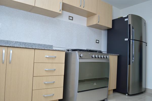 Rokas, Amelia Denis De Icaza