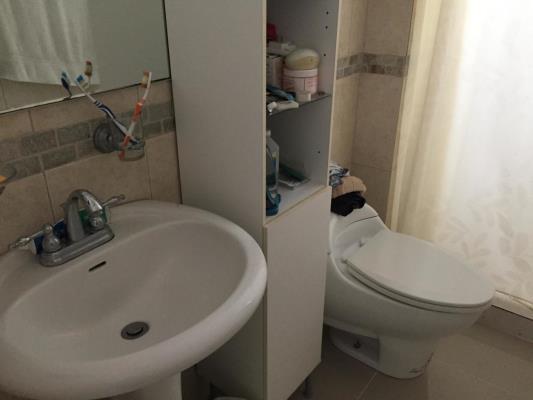 , Área Metropolitana