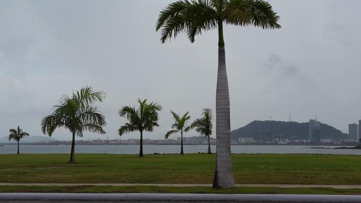 , Terreno en venta en Punta Paitilla | P2476474