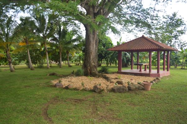 , Casa en venta en Bejuco | P2487842