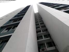 Rufina Alfaro San Miguelito