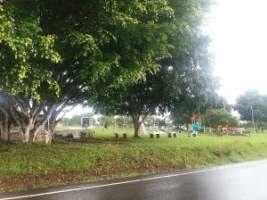 Alto Boquete Boquete